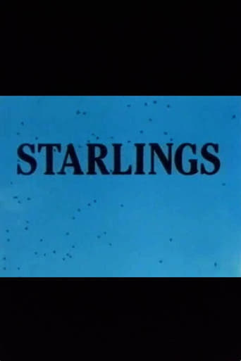 Poster of Starlings