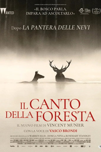 Il canto della foresta