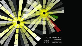 Shine a Light (2015)