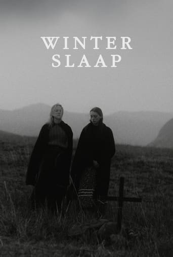 Poster of Winterslaap