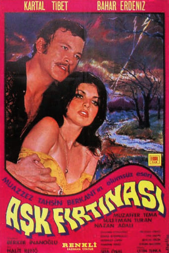 Poster of Aşk Fırtınası