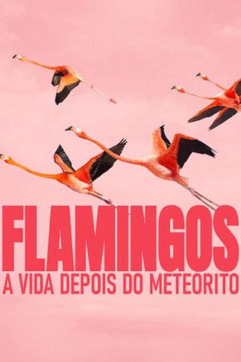 Flamingos: A Vida Depois do Meteorito