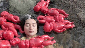 The Inseminator (2014)