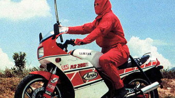 Project Ninja Daredevils (1986)