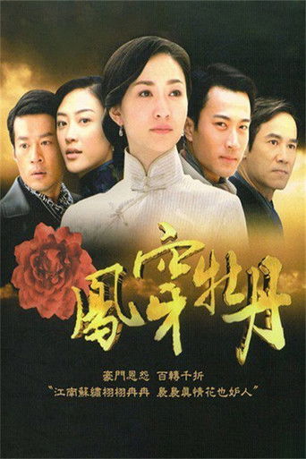 凤穿牡丹 poster
