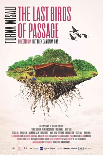 Poster of The Last Birds of Passage