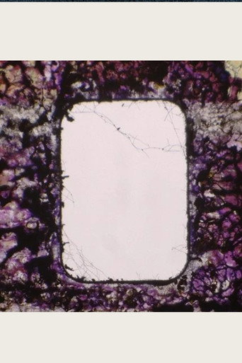 Poster for Void