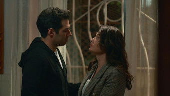 Aflevering 22 — Episode 22