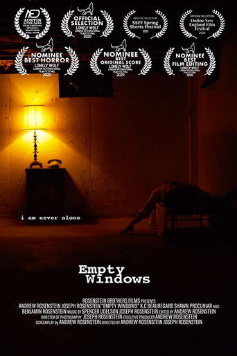 Empty Windows poster