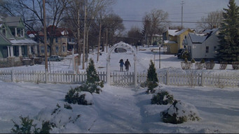 #36 День Бабака