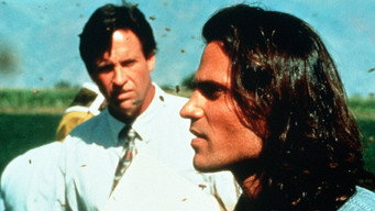 Deadly Invasion: The Killer Bee Nightmare (1995)