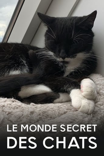 Le Monde secret des chats en streaming 