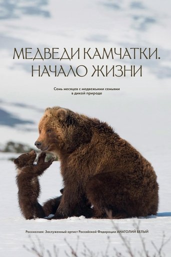 Kamchatka Bears. Life Begins