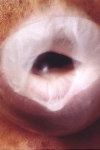 Expand Constantly poster