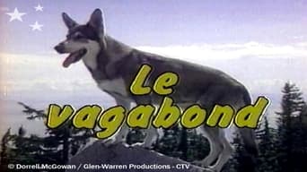 The Littlest Hobo (1979-2002)