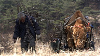 Старий товариш (2008)