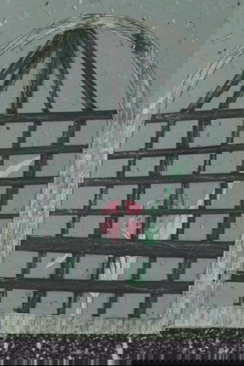 Reclaiming The Colour poster