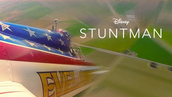 #5 Stuntman