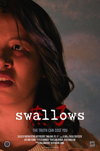 swallows燕子 (2024)
