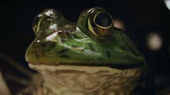 Naturaleza de pesadilla S01E02