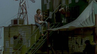 #19 Ластівковий Метелик