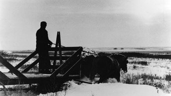 Північне сяйво (1978)