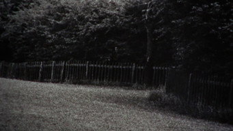 #33 Фотозбільшення