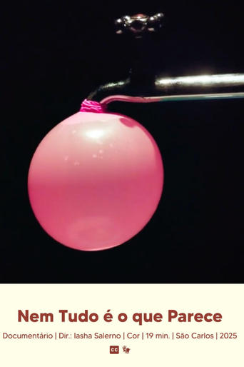 Nem Tudo é o que Parece poster