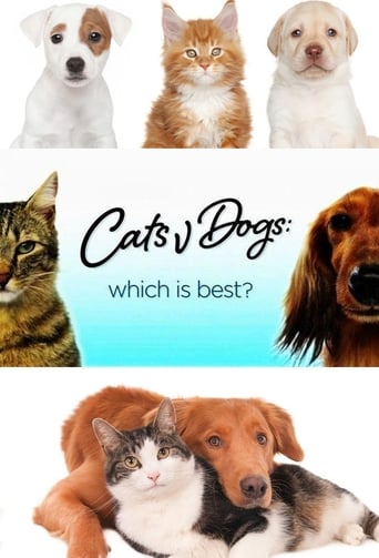 Poster of Cats v Dogs: Which is Best?