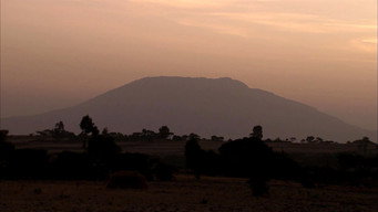 Africa Rising (2011)
