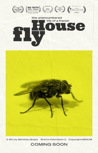 The Unencumbered Life of a French House Fly