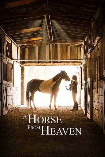 Poster of A Horse from Heaven