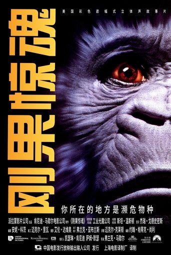 刚果惊魂