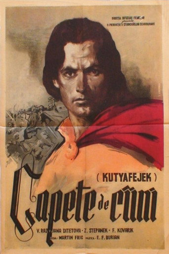 Poster Capete de câini