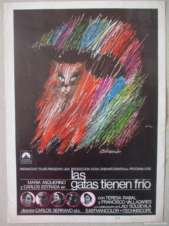Poster film Las gatas tienen frío
