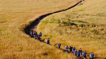 On the Blue Way (2022)
