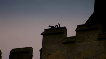 Crisis at the Castle (2007)