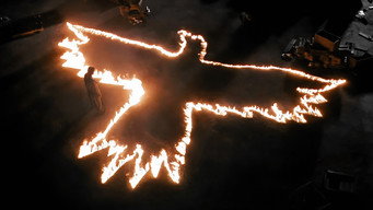 #45 Ворон