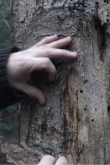 Skin for Life poster