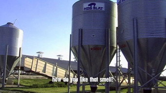 Fresh (2009)