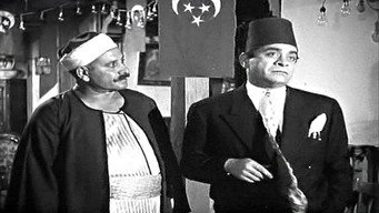 #41 Son of Hamido