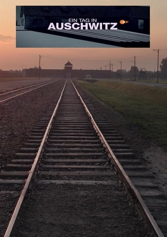 Ein Tag in Auschwitz