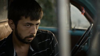 Yellow Heat (2017)