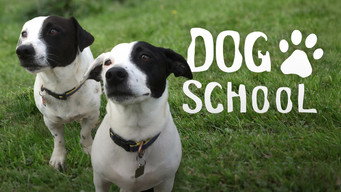 Dog School (2019-2018)