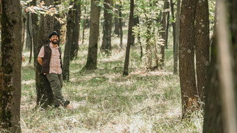 #8 The Forest Is Mine