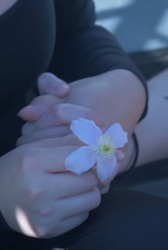 Pushing Daisies (2018)