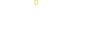 Deadly Instincts logo
