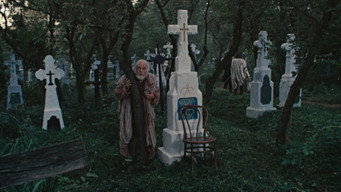 Серед сірих каменів (1983)