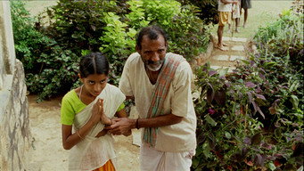 #11 Vanaja