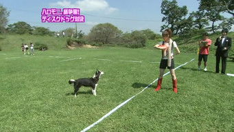 第330話：Animal Training Challenge (Mitsui Aika first appearance)